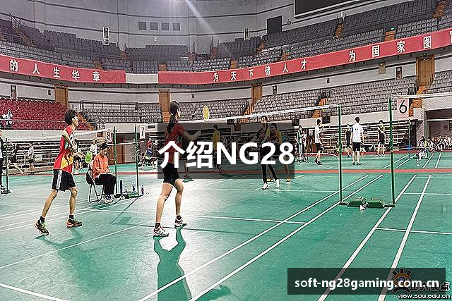 介绍NG28